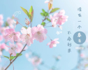 作为一所国际化的商学院，SKEMA也时刻关注着疫情趋势，关注着我们的学生、家人、校友、合作伙伴们，关注着我们最亲密的朋友们！今日，SKEMA商学院全球总校长发表公开信，向大家表达我们最深切的关心！