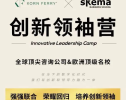 帆扬细雨时 | 回顾光辉国际-SKEMA商学院 创新领袖营线上研讨第一课